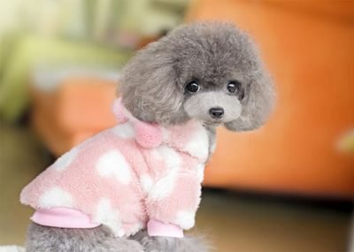 مكمل غذائي متعدد الفيتامينات أقراص متعددة الوظائف للقطط والكلاب دعم طبيعي للمناعة وتخفيف الحساسية للكلاب 2