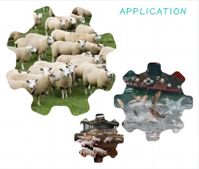 مادة الإضافية الغذائية من السيلينيوم النانوي للخميرة 2000mg/kg للدواجن الحيوانية 1